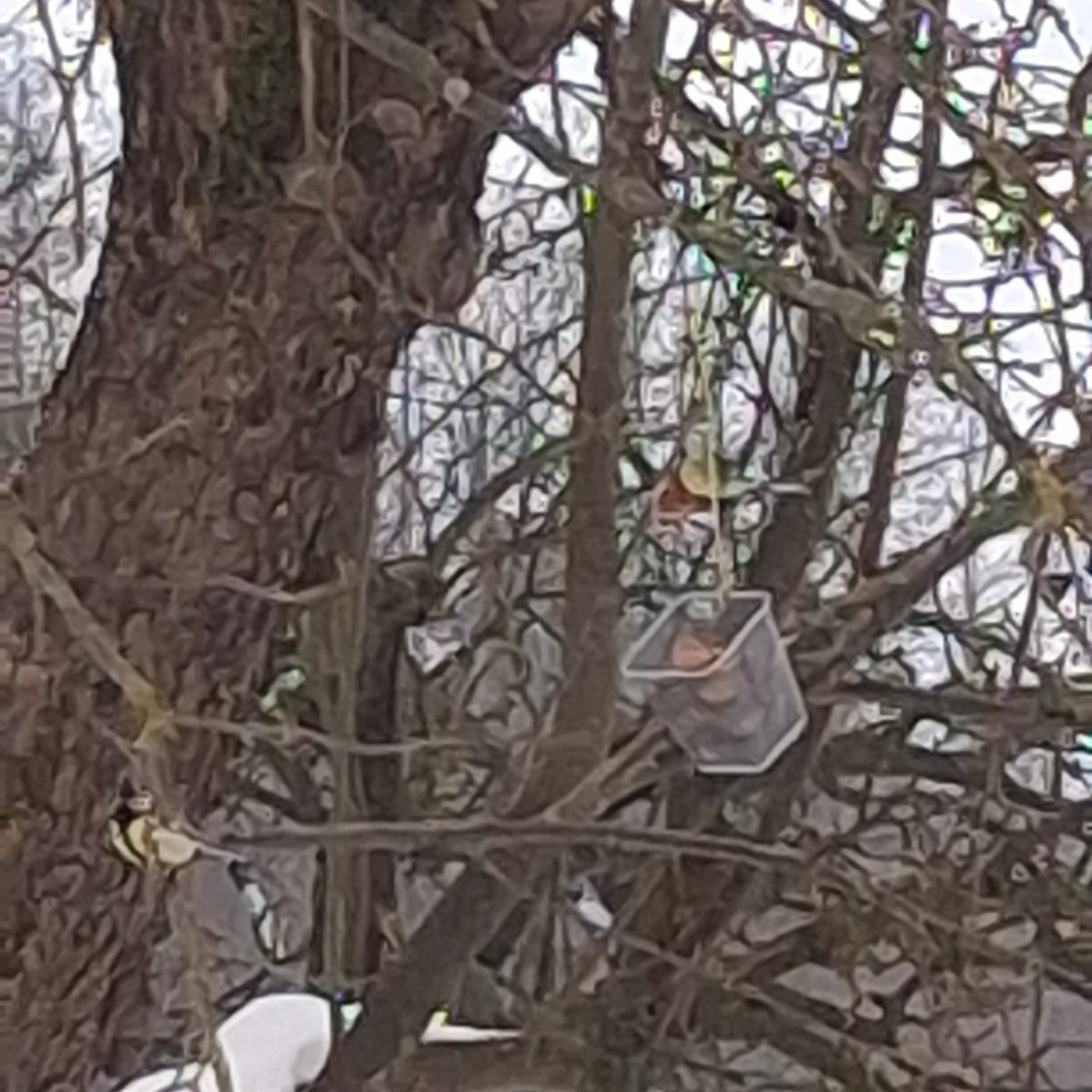 67faa78b-6480-4e32-b777-a86ca1dd6bda