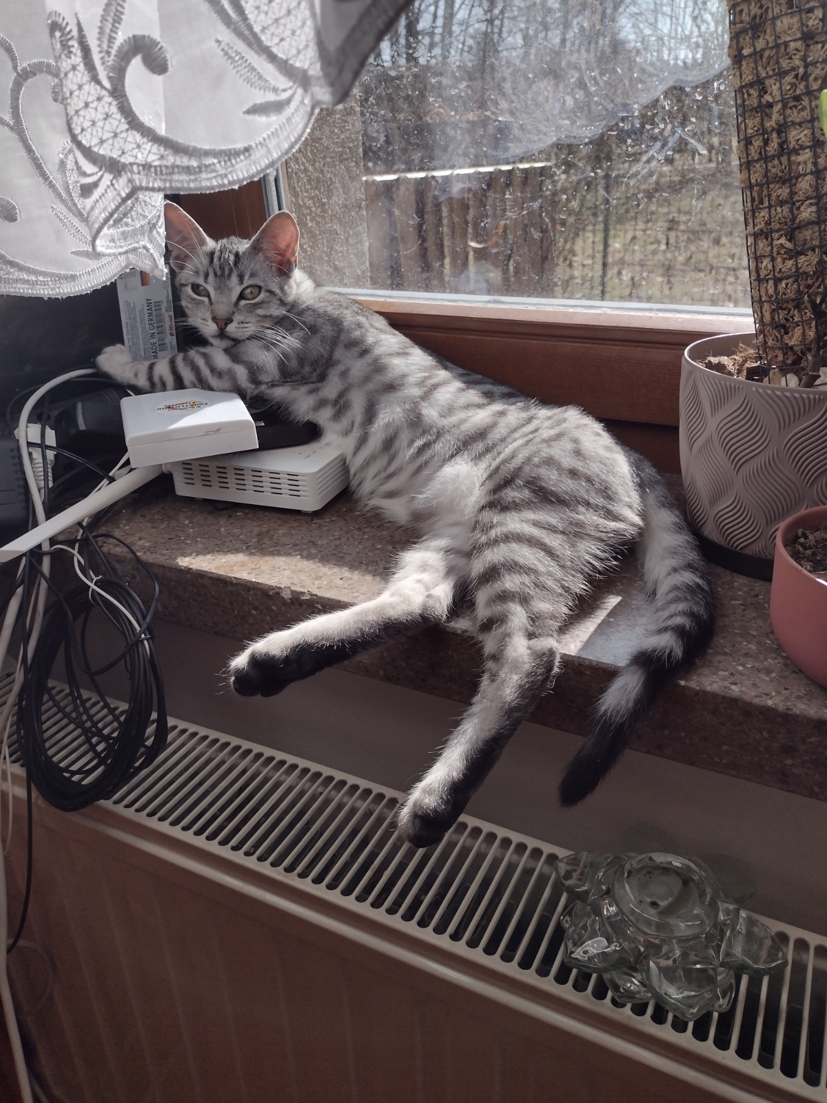 99399c6e-dc83-4323-8103-8da7f6c01101