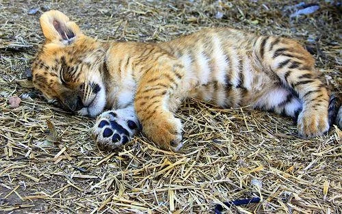 c6982df3-5046-445e-98dc-961c21791744