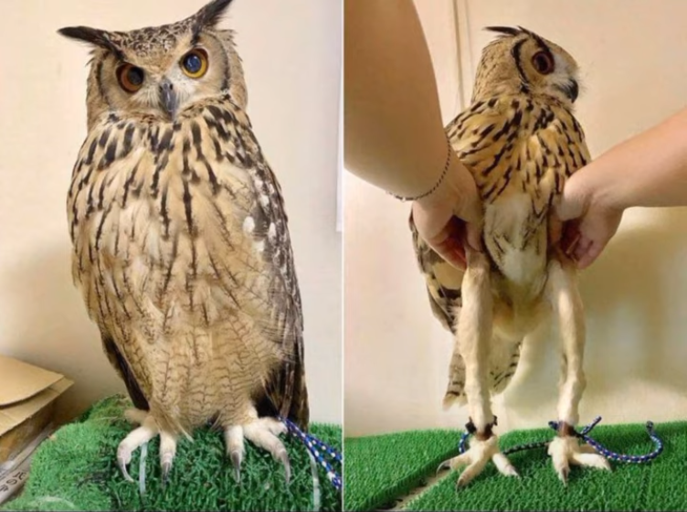 83d6858a-7bac-446a-ab52-ce2de4ac9030