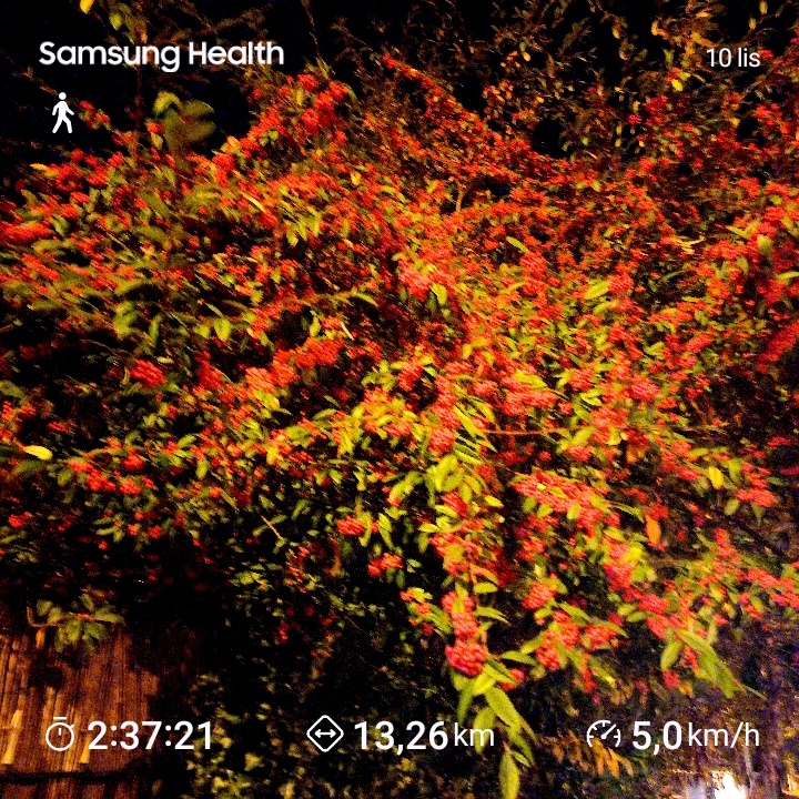 e4b84121-3539-46b1-94d0-6be09a2d0d72