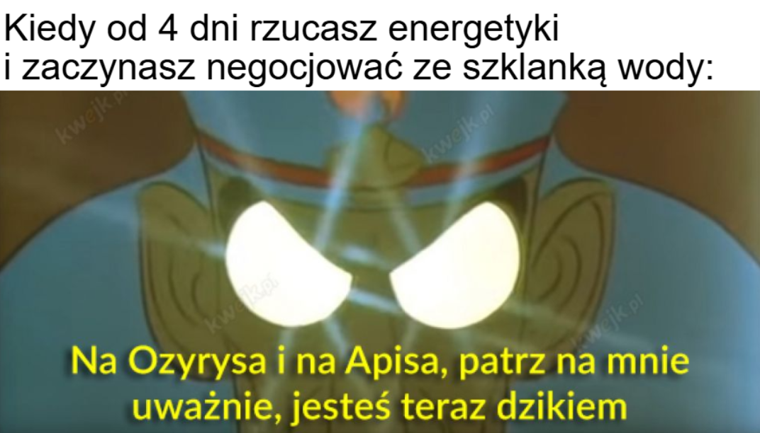 555ae3fc-3bd8-4475-a8f4-af066b8fb4d5