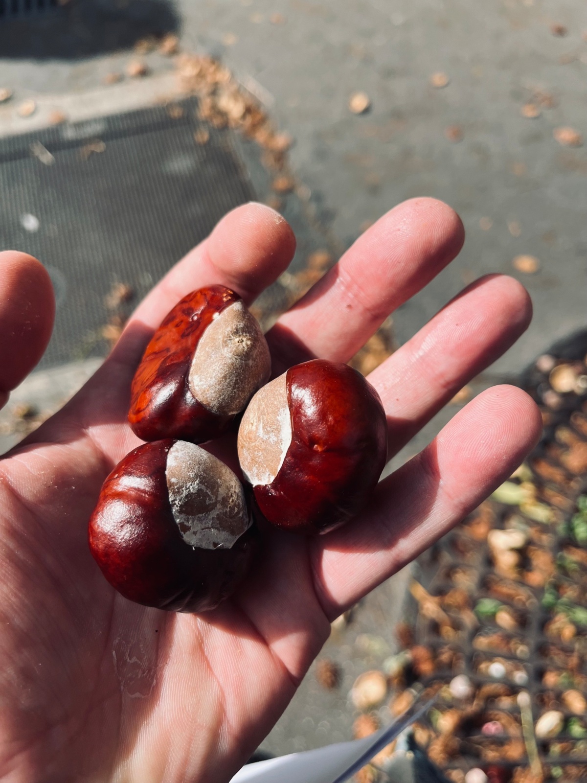 89246ecc-eef9-4cfb-a713-88b0d671df9e