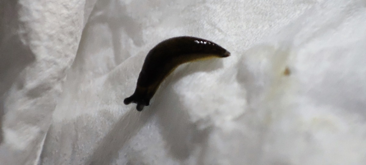 9c27cfd9-5ff6-4e2f-aef4-d790321a5d0b