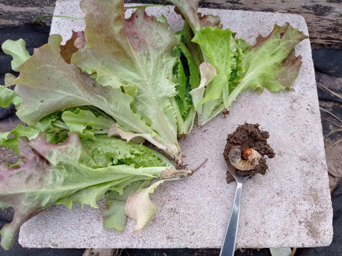 04044358-6b55-4aee-9ff9-d16882d870e1