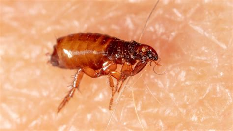 8f14b427-d7c9-4fc8-8500-76b805be0422