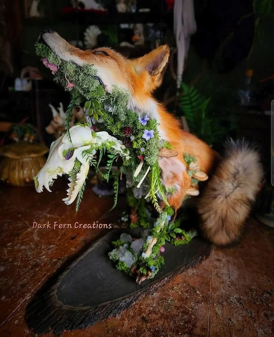 8a3bb7ea-de8d-42dd-bf1c-cd906f675730