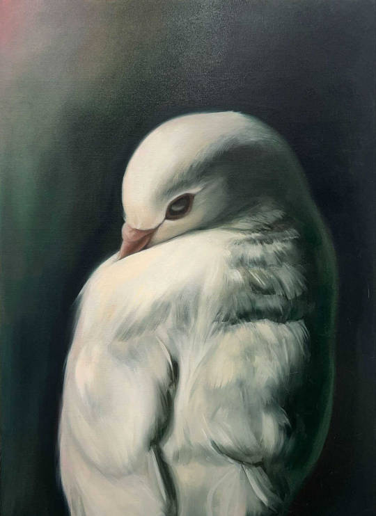 d63194d9-0882-4018-bae8-33c2607d575c