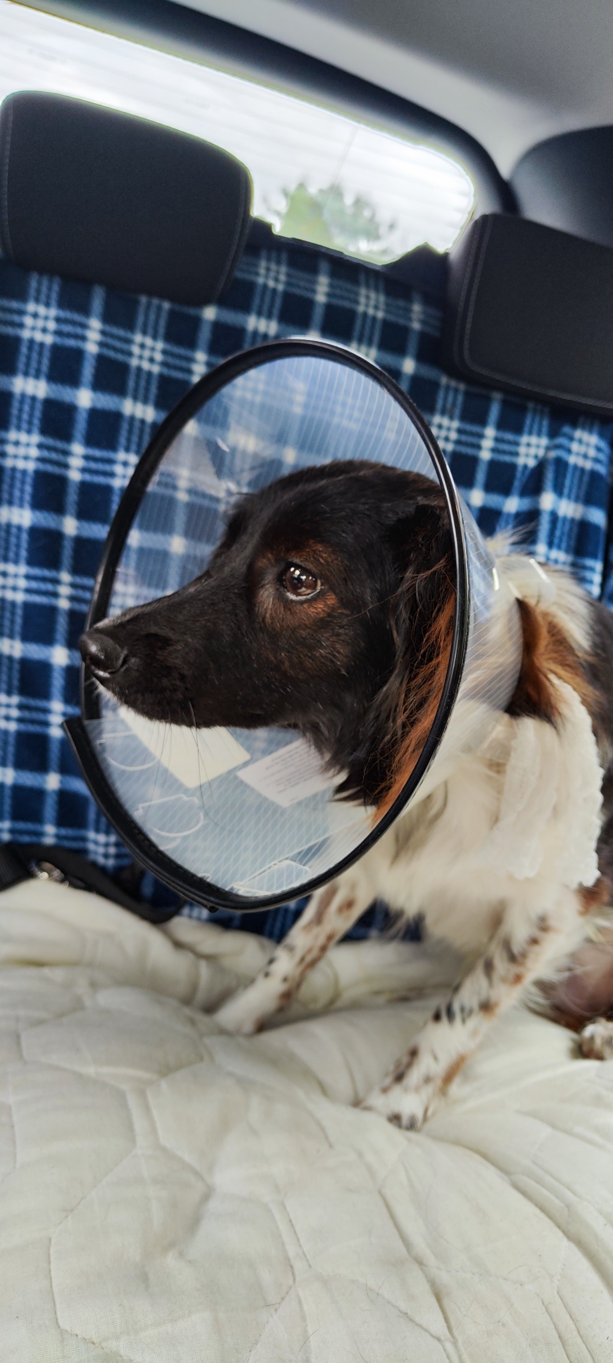 d6f6757f-2eac-4690-8bea-03a0aa3919fa