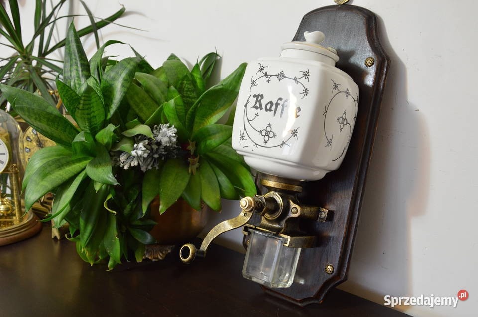 e378f0e8-f161-4333-9307-66d211e988de