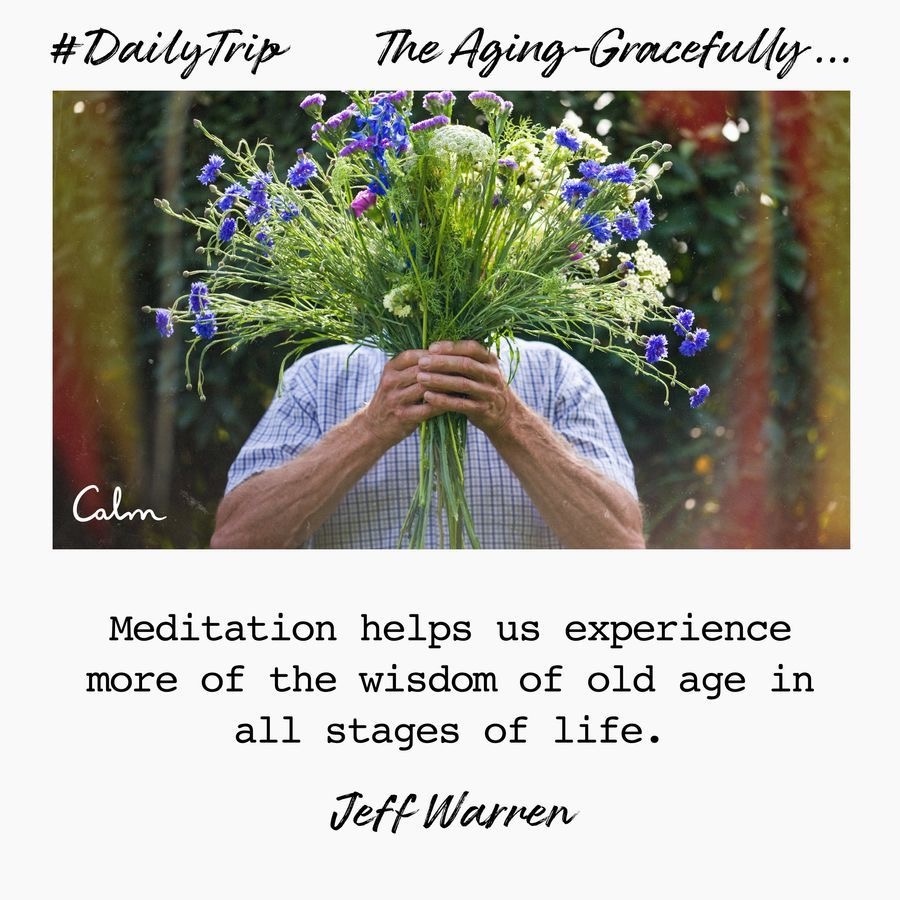 e8d9685b-81ca-42ae-b39f-ce902bb0e768