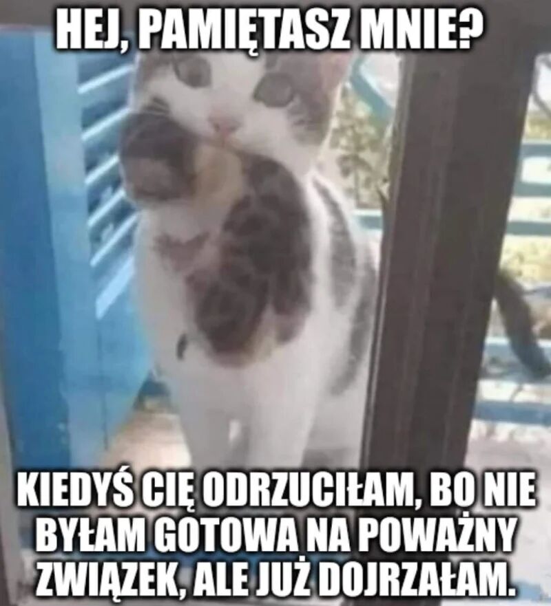 03f9ad44-6147-4b74-9ff6-d715957447d1