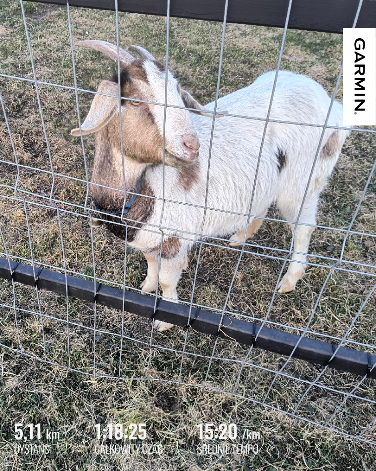 8566312f-e0ee-4c7f-9a71-d0163fd3b152