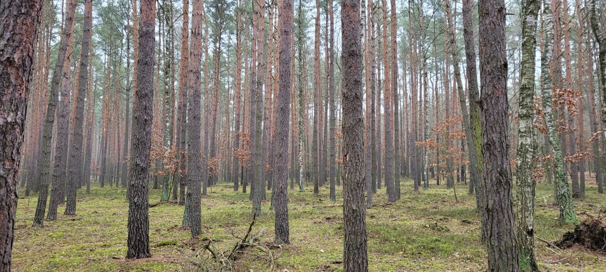 ed7c2500-8a43-4232-858a-da192d34d332