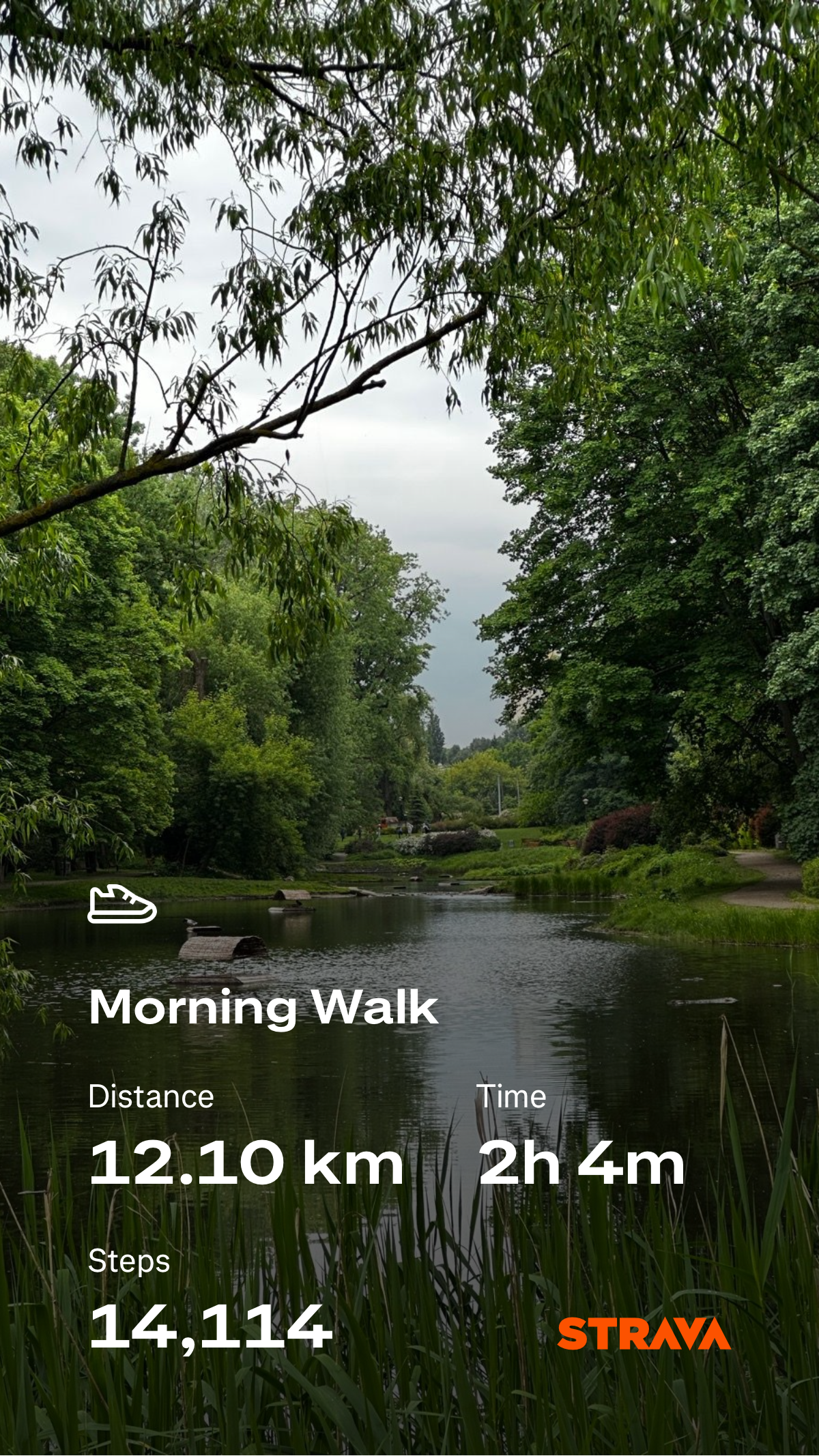 ce933322-00bf-4903-994e-766aa6e90e6d