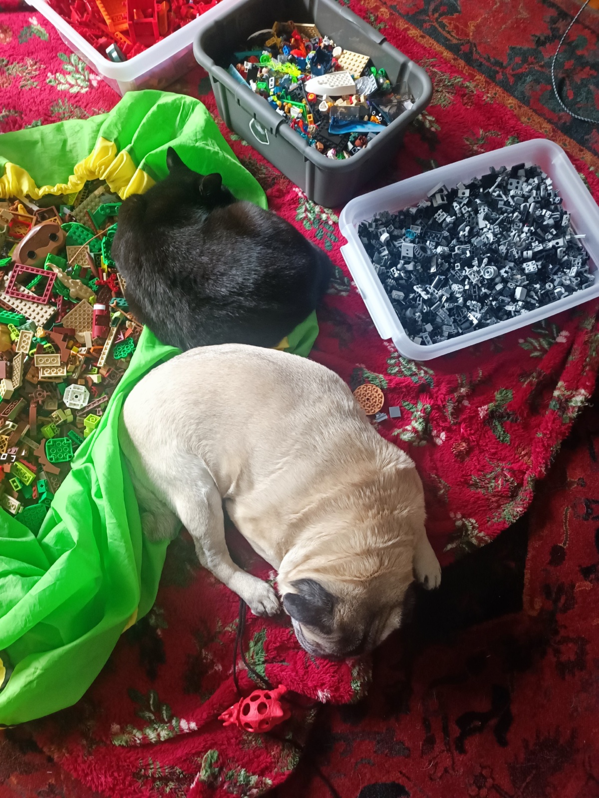 6cf300b4-294a-4c76-bd7a-7a30f89fc10d