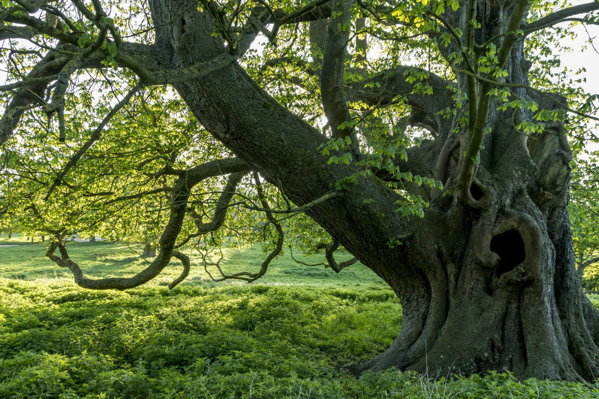 5c4ef38a-5205-4827-b470-f0239f491ffb