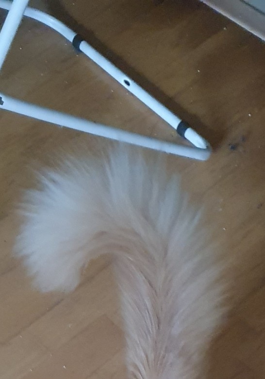 56ab6807-18de-42b3-9e56-9473446fdfbb