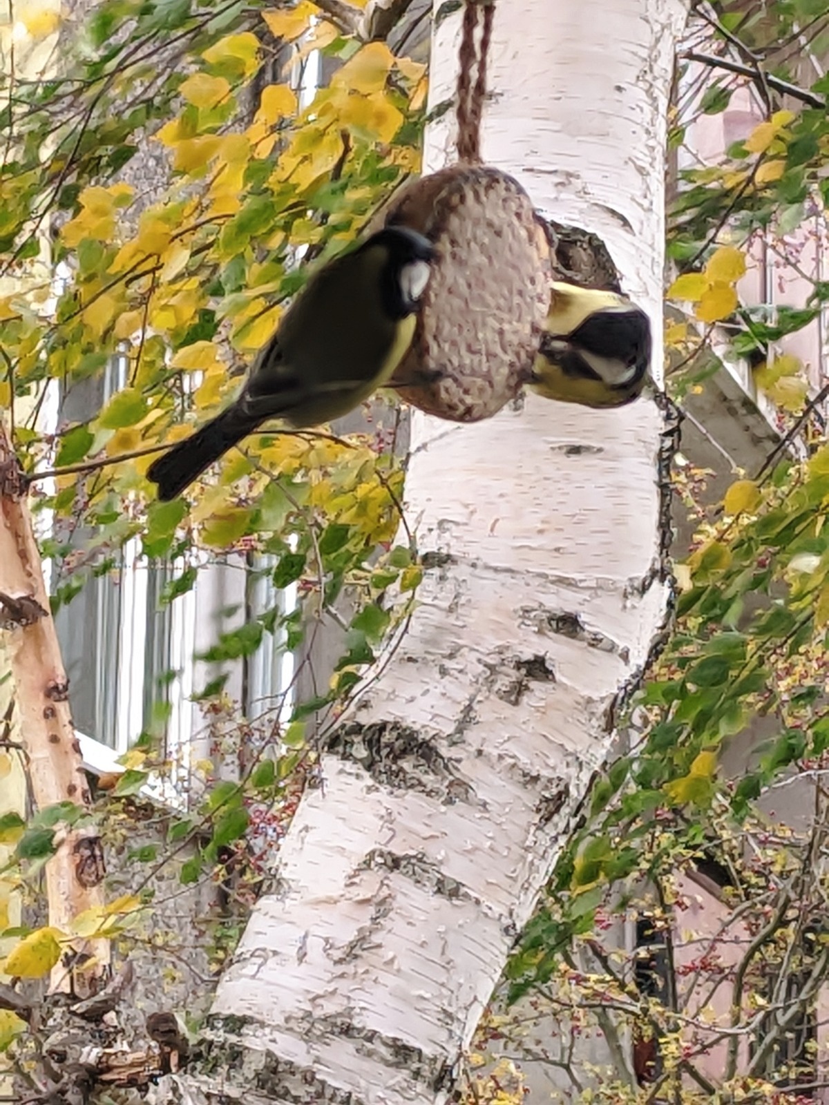 7727544a-bcb1-4431-a647-b9aa3b433da1