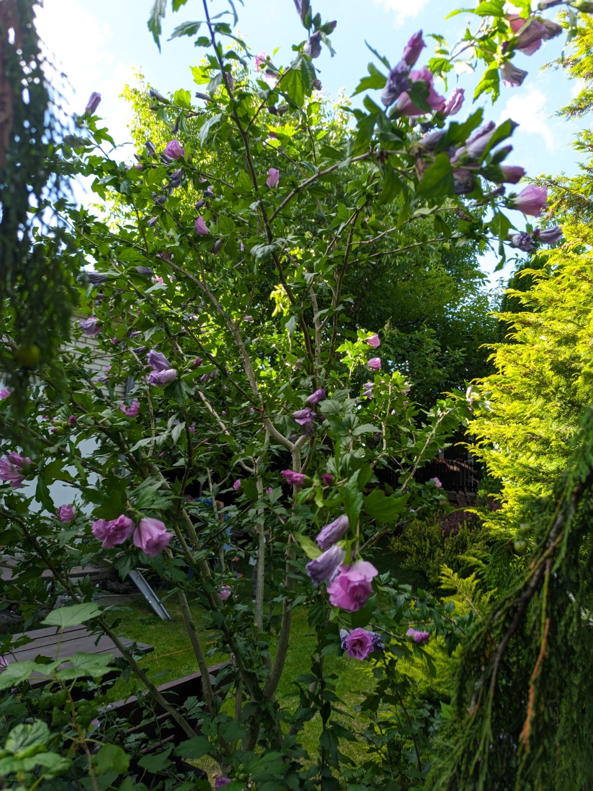 bd261f86-557a-467d-a0cf-82b7d06fc475