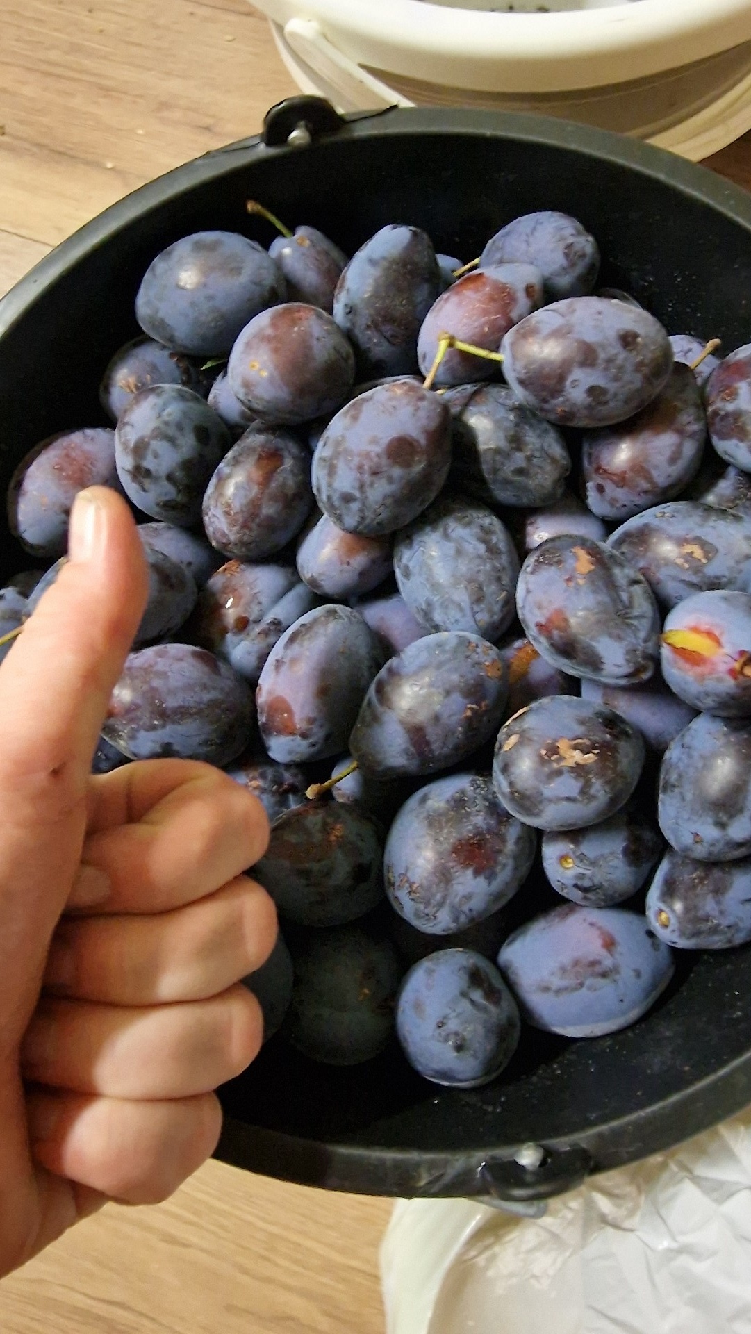 c77233f2-3789-44f2-ace8-d86256c2fc1f