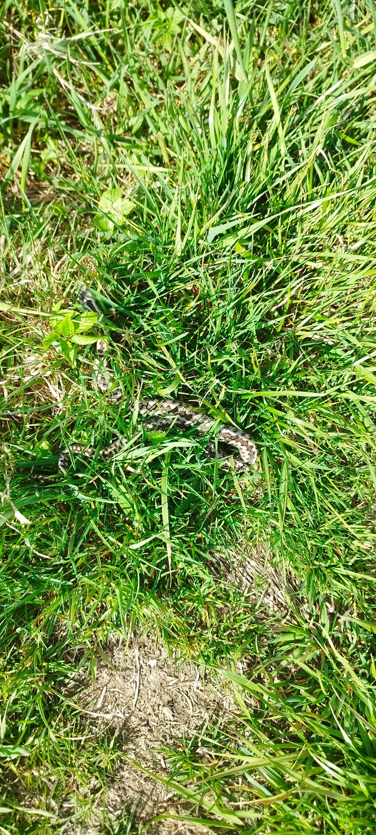 c4a07f0c-316d-44c7-8949-03189479df9c