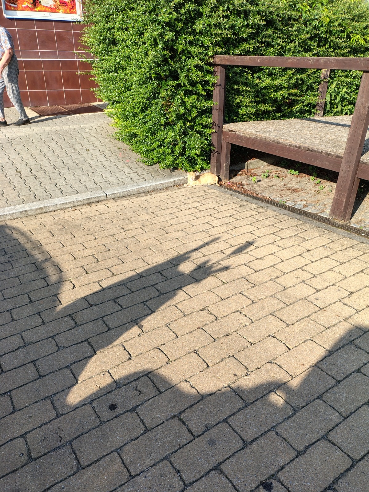 0163cee3-76a2-47ee-a08b-9abeae4521f0