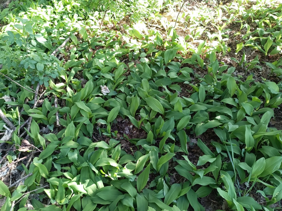 c25618f2-e66a-4b0f-b4da-cac34e38372f