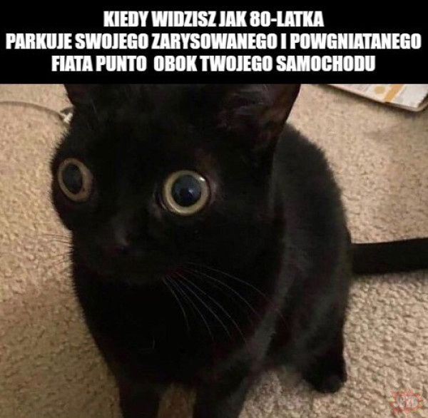 303de1ed-3a34-453d-9510-3079a331fc7a