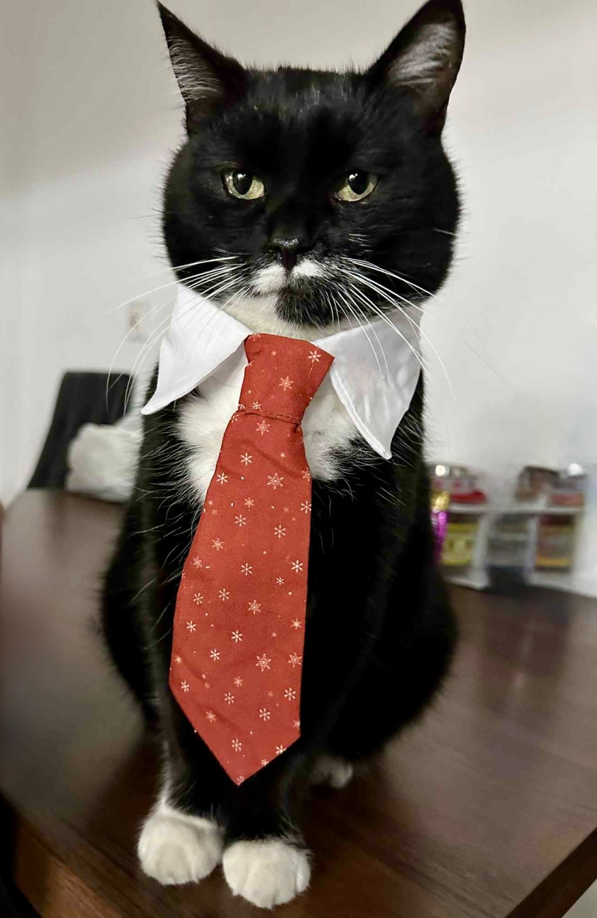 0358a107-636a-45d8-9c11-19ec98cdee65