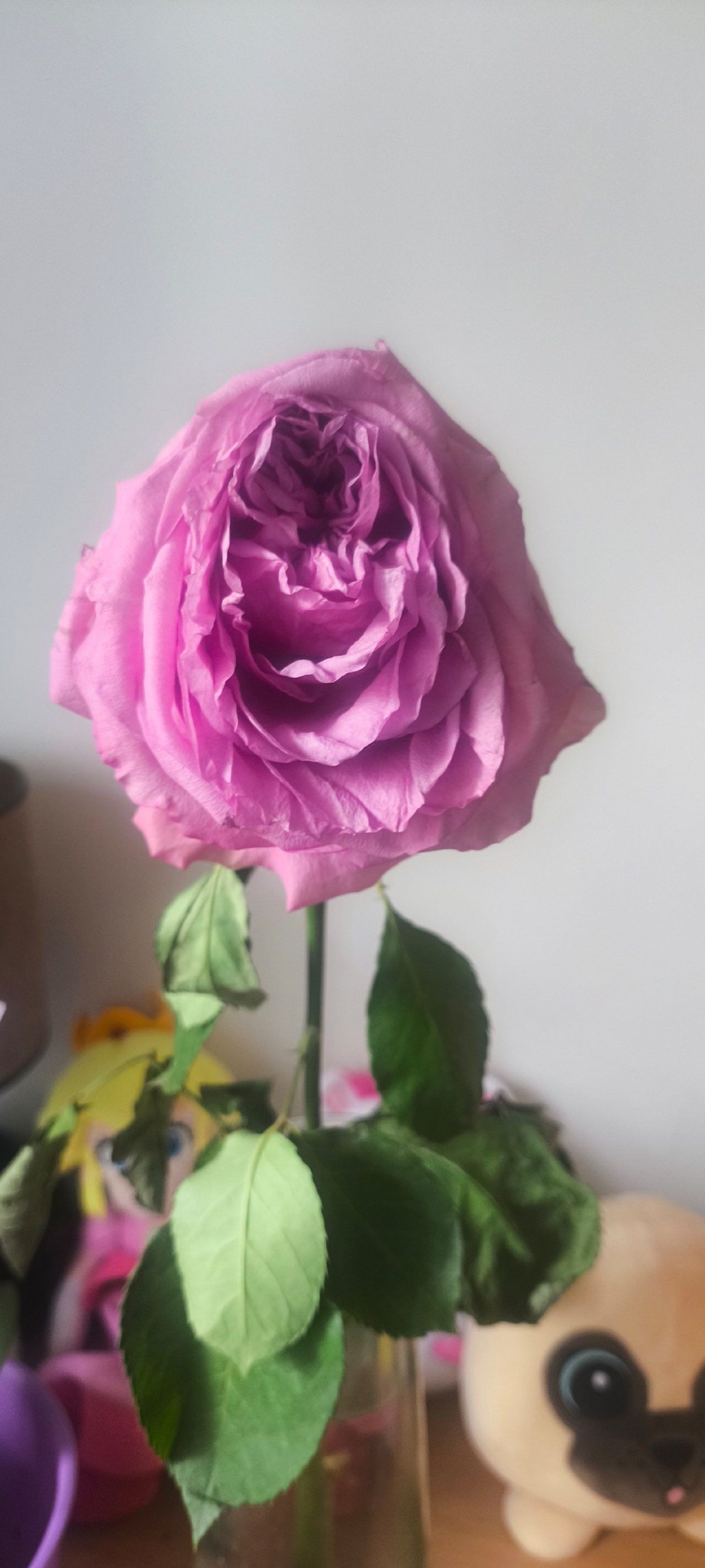 fe505db5-d982-4e83-bddd-b248192ef60e