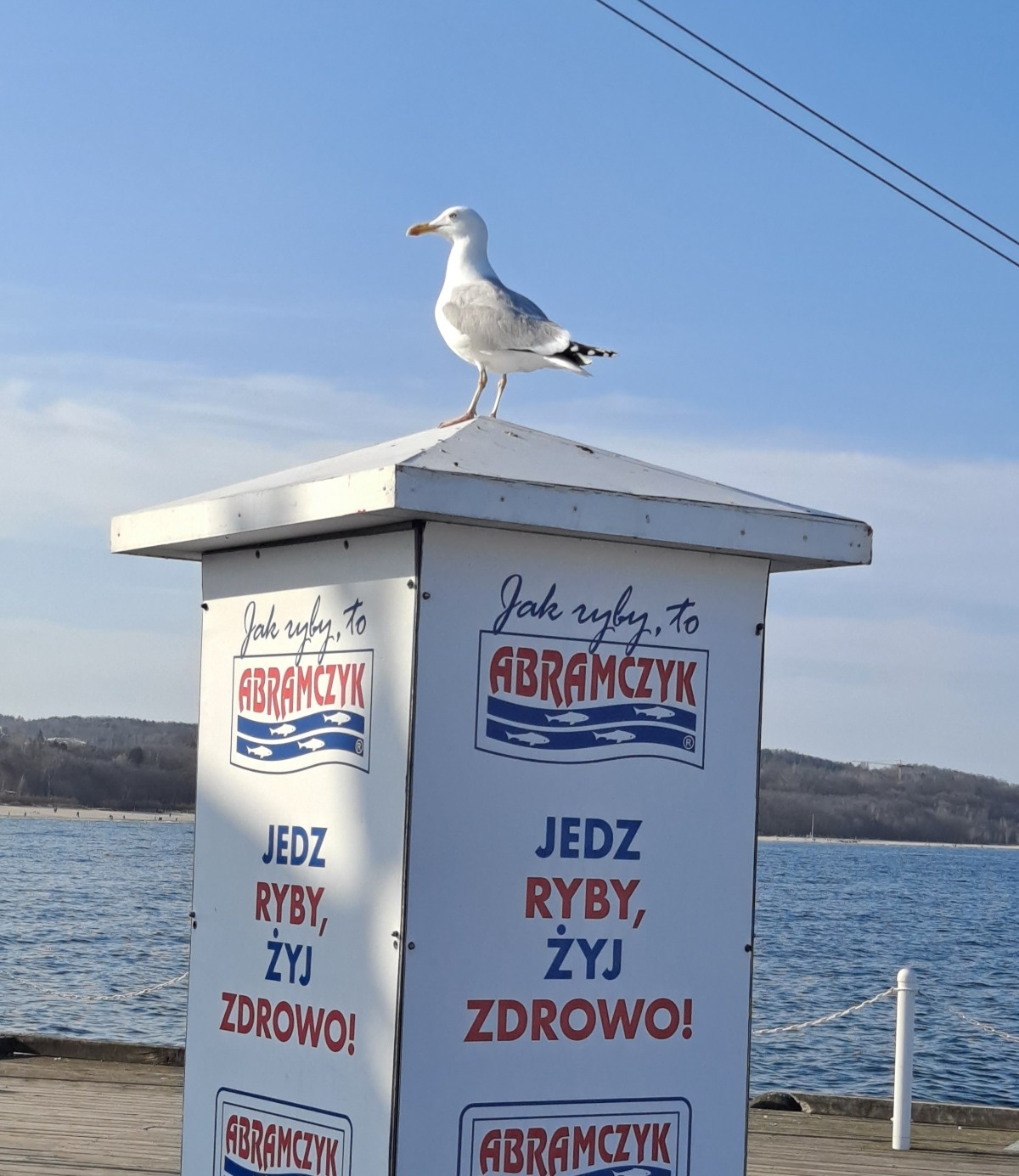 aafea4ba-2f7c-41e1-86c7-d165d6546325