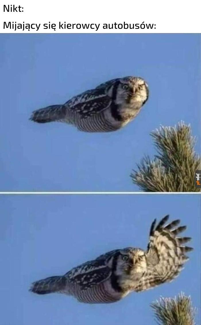 9c8be8cb-c94d-4b52-a086-5bf283ee4529