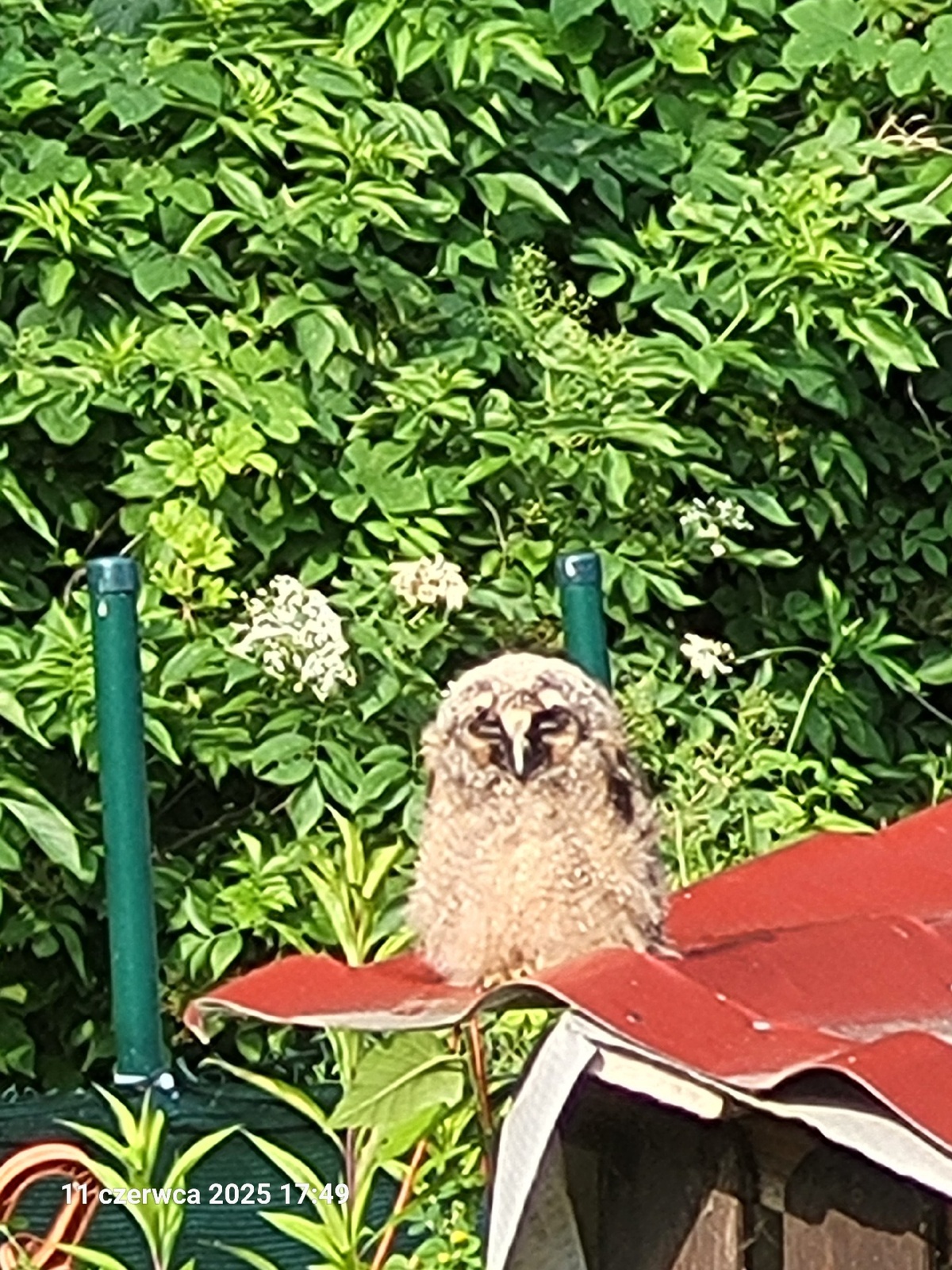 1c872f24-8040-4a83-8267-cddd187645dc