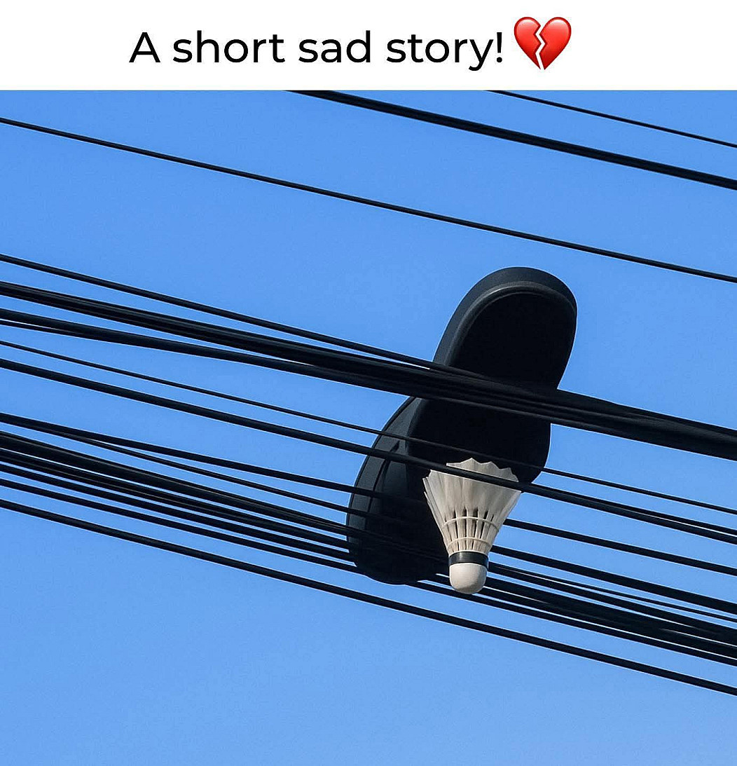 5d2213a9-87c8-42ac-92d1-deeebec0ce60