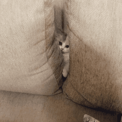 04468cb9-0f97-48f1-9963-88e18860eec6