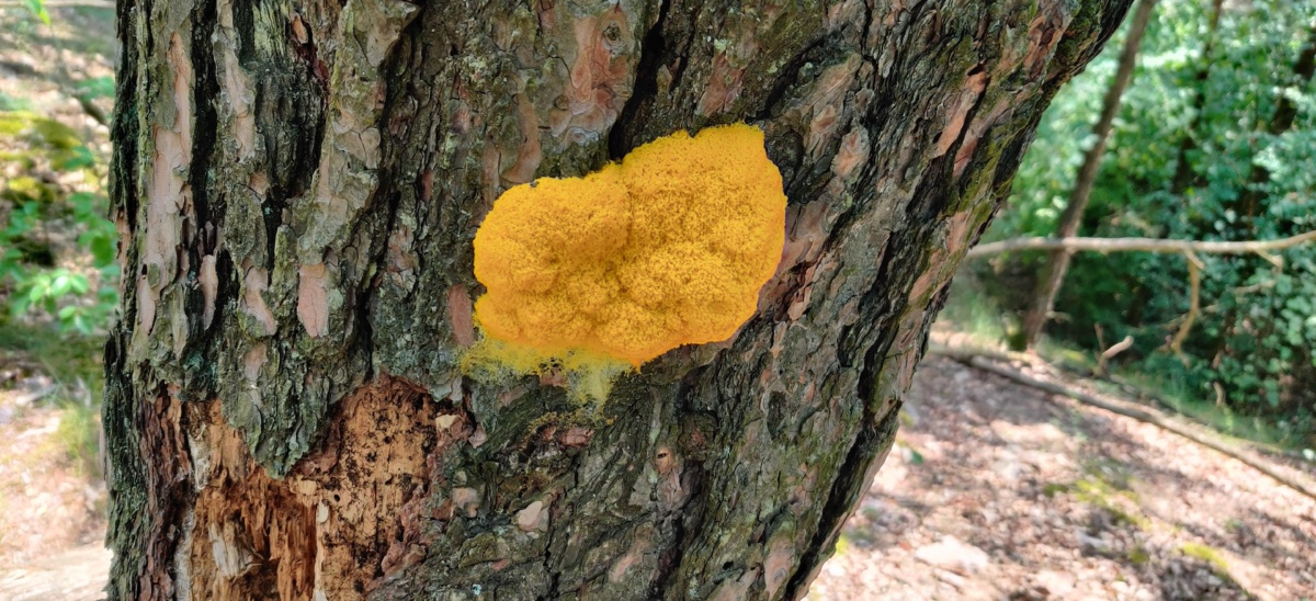 8771891c-584c-4a67-b0f8-53ecf6659dfa