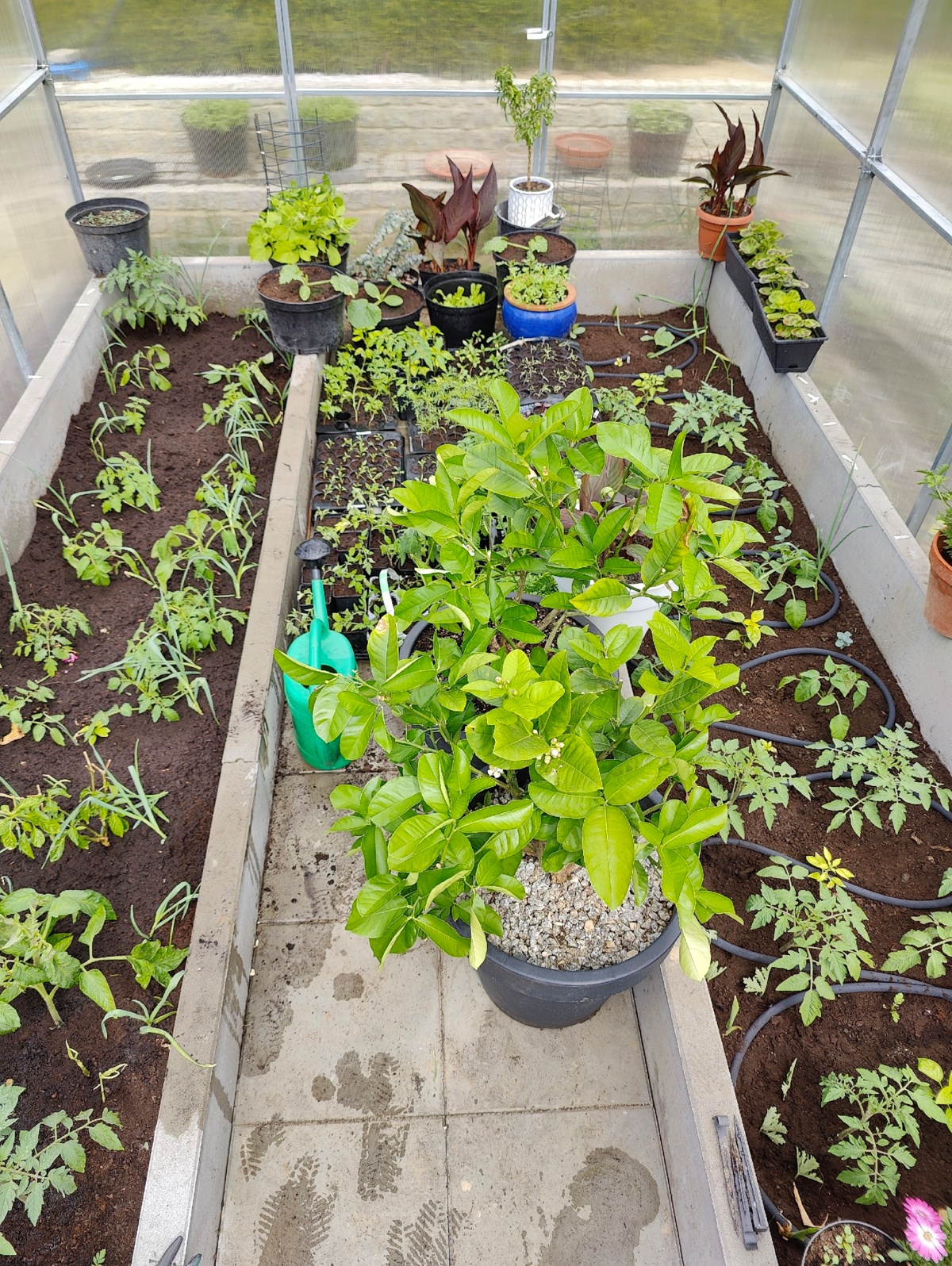 44aed5c6-235b-4bcc-8496-c6bf7731b0c1