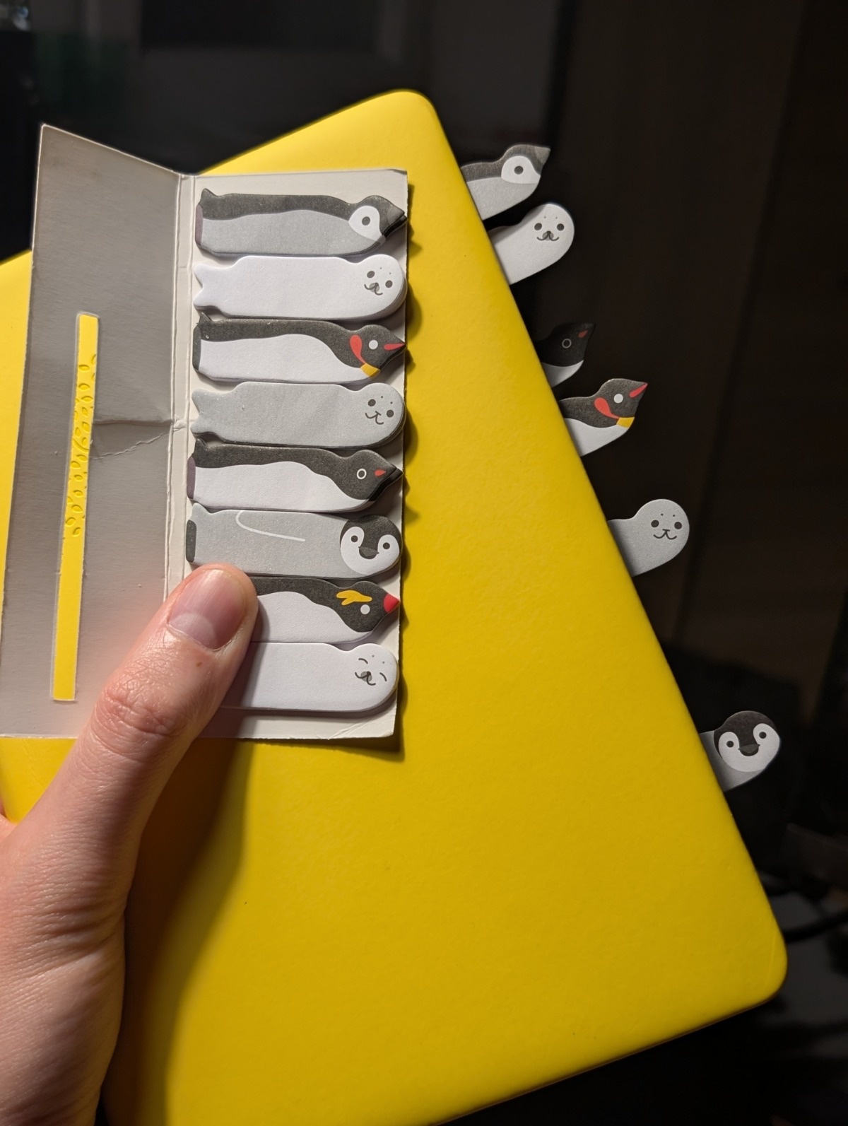 97deaa51-eb68-40df-8e9d-a4d0e4cf01bf