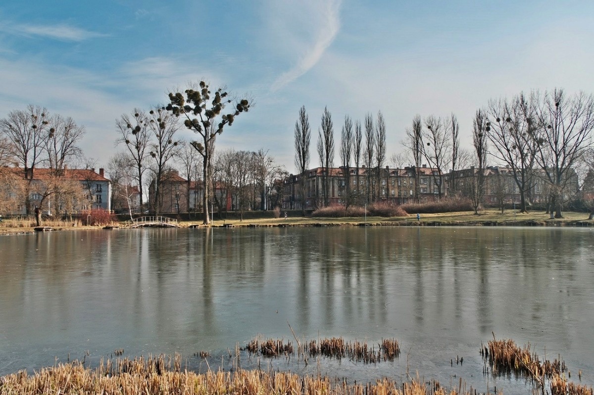 Staw Amendy Bytom, Zimowy Foto Spacer Fot. Piotr Witowski / Urokliwy Śląsk / Śląsk Jest Prze Śliczny