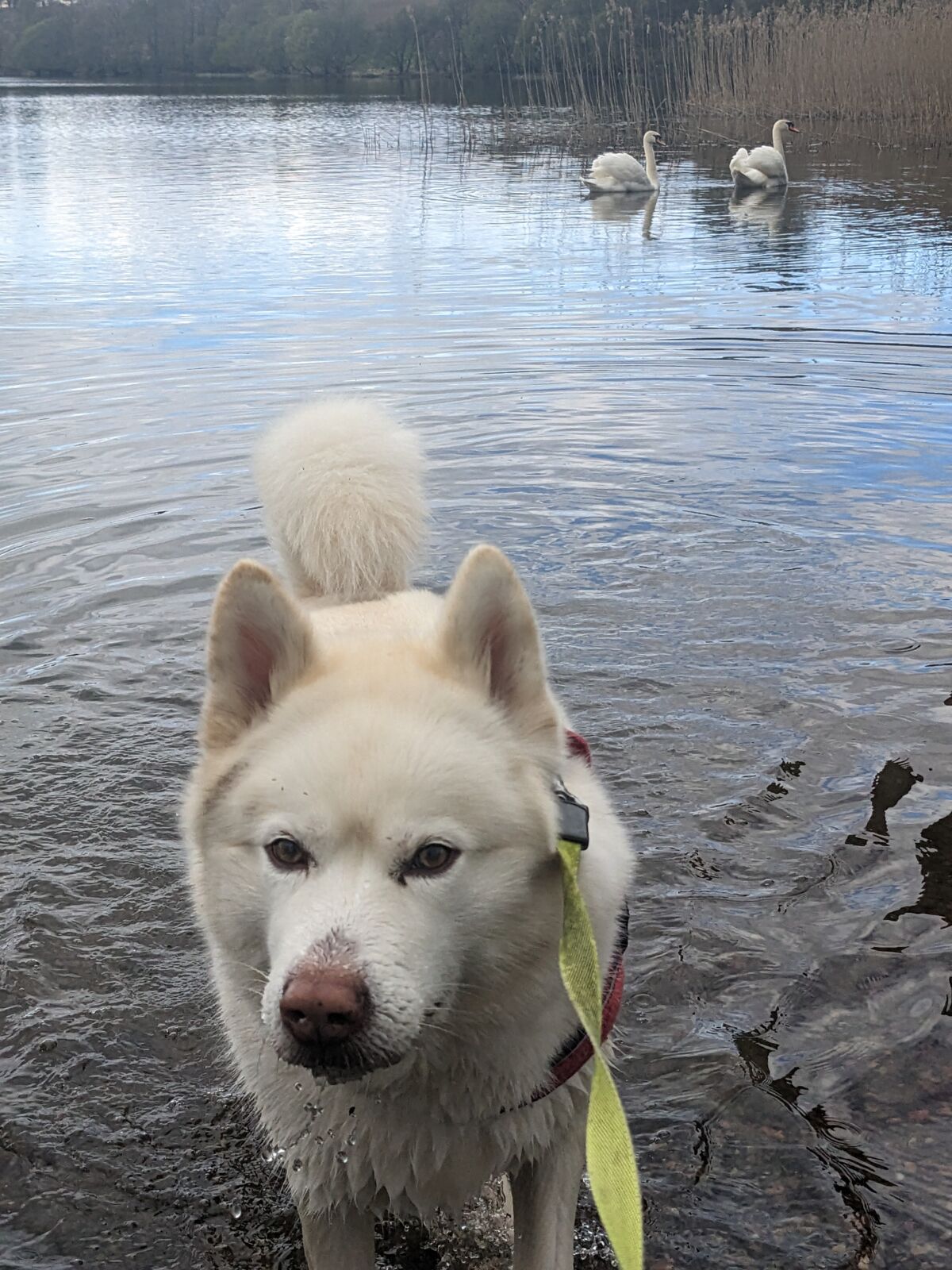 3e222a9b-b1c0-4792-a581-63f48bfe6a4f