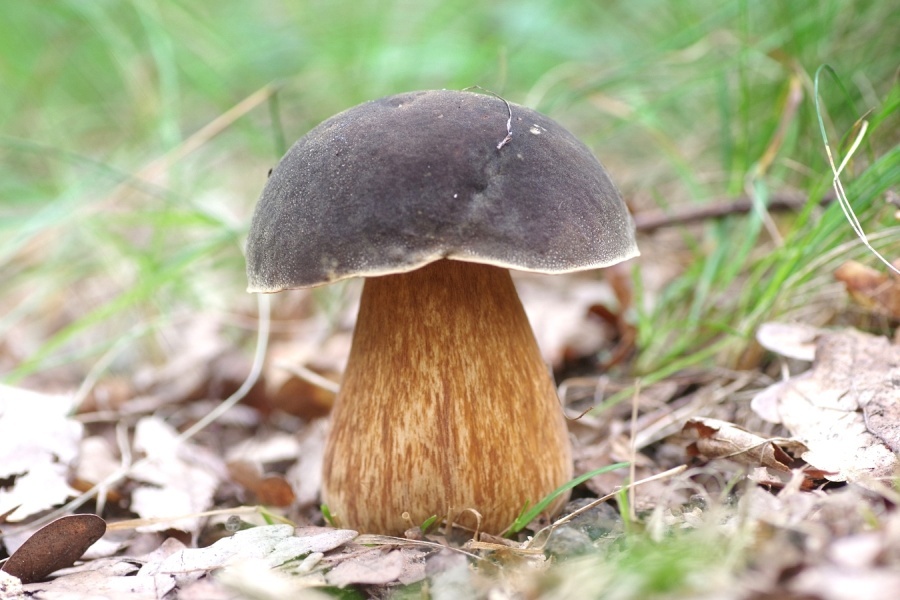 4bf5a4c9-a3c0-4878-98f2-6518fcb5a093