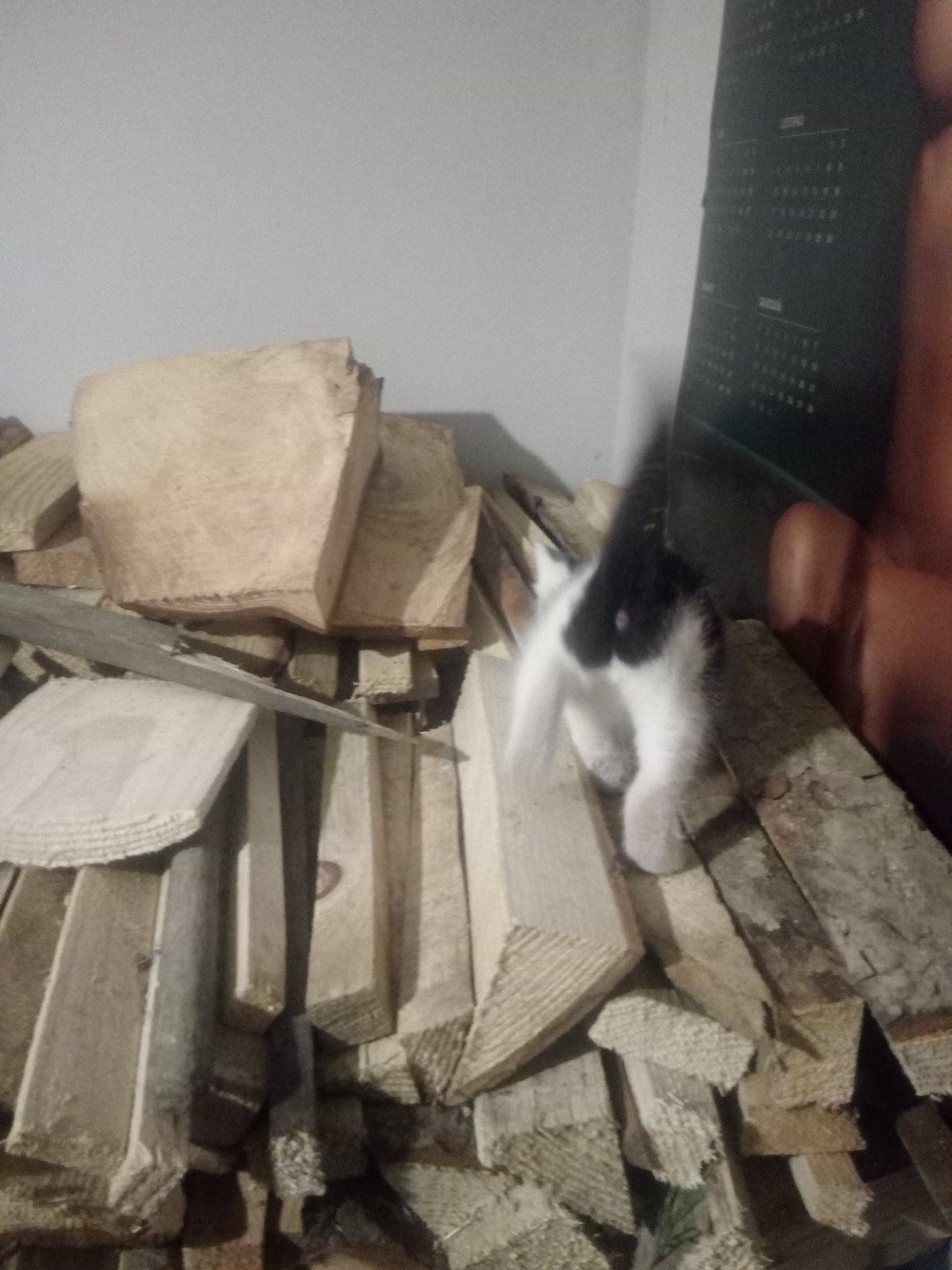 6f5cd029-e838-4574-bd6c-e04f2ff04810