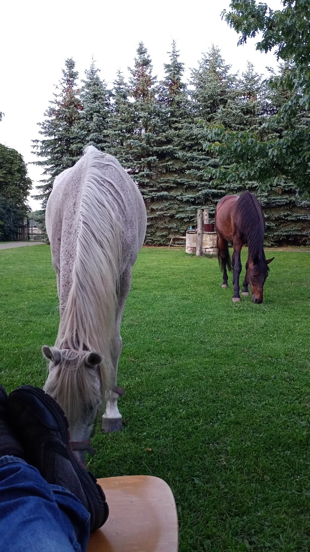 e13a8890-9e9b-47ba-af29-48a05a68ea62