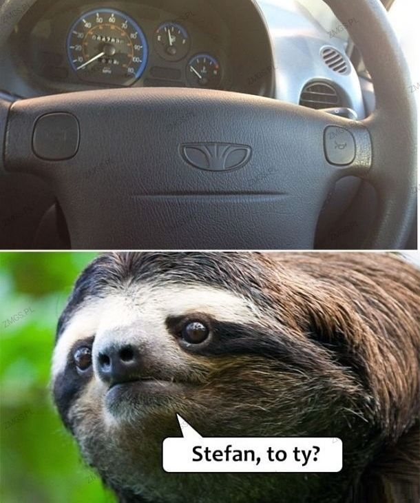 9892c368-9535-42b4-89bb-66744d23dbe1