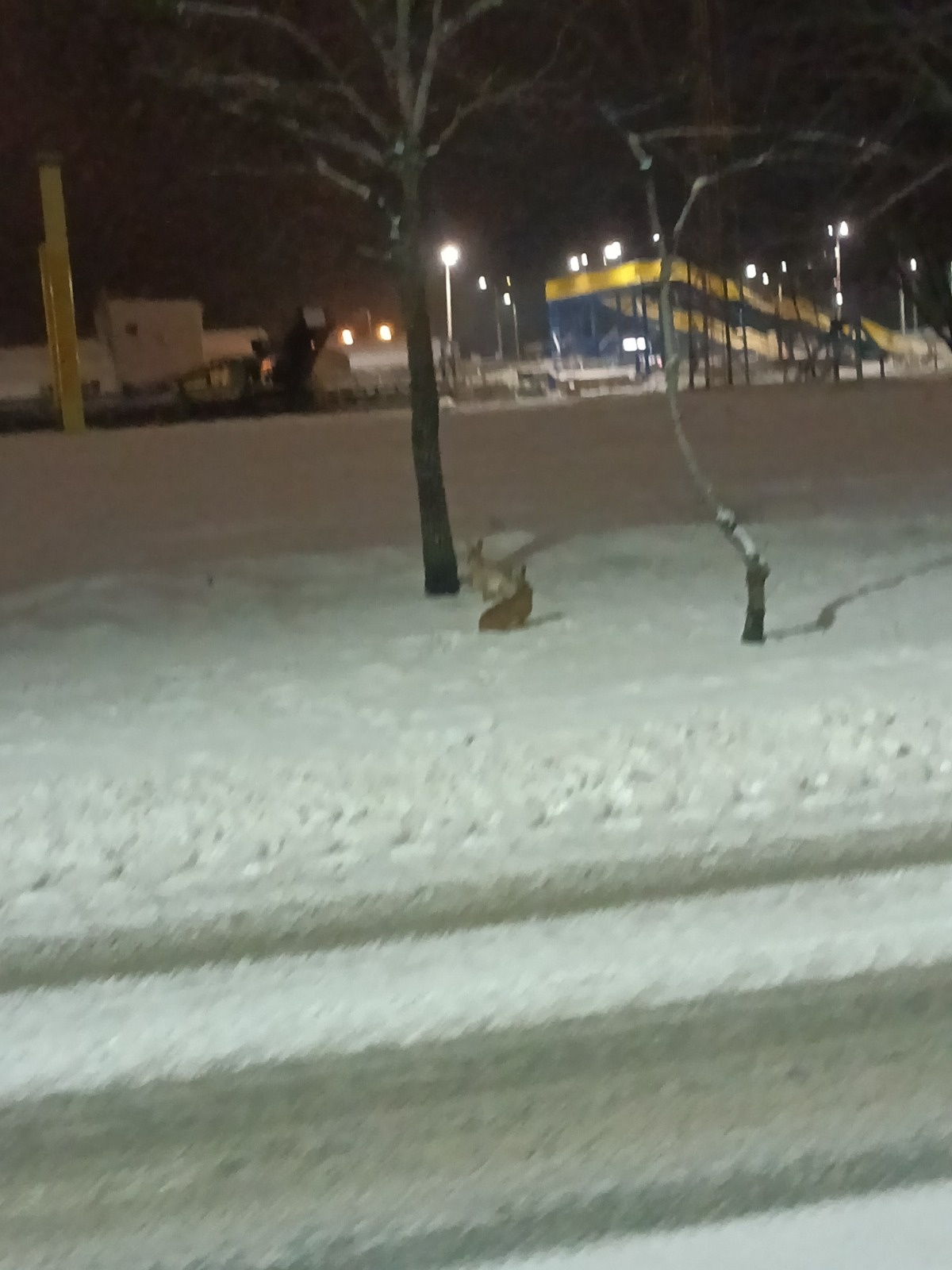 9fc8267e-f193-43eb-bc59-00044ac82ead