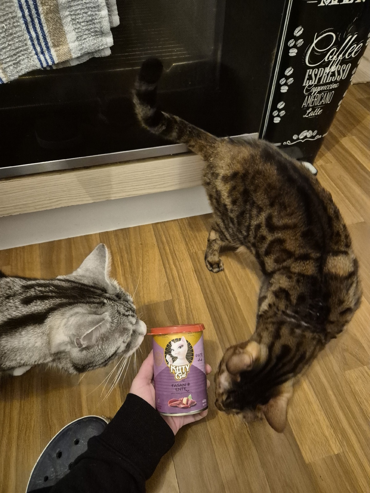 24f96c44-2a16-426d-ba95-c05e1f9e22e8