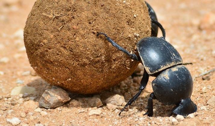 ece86e3b-71d9-4790-96f7-6aa27b719378