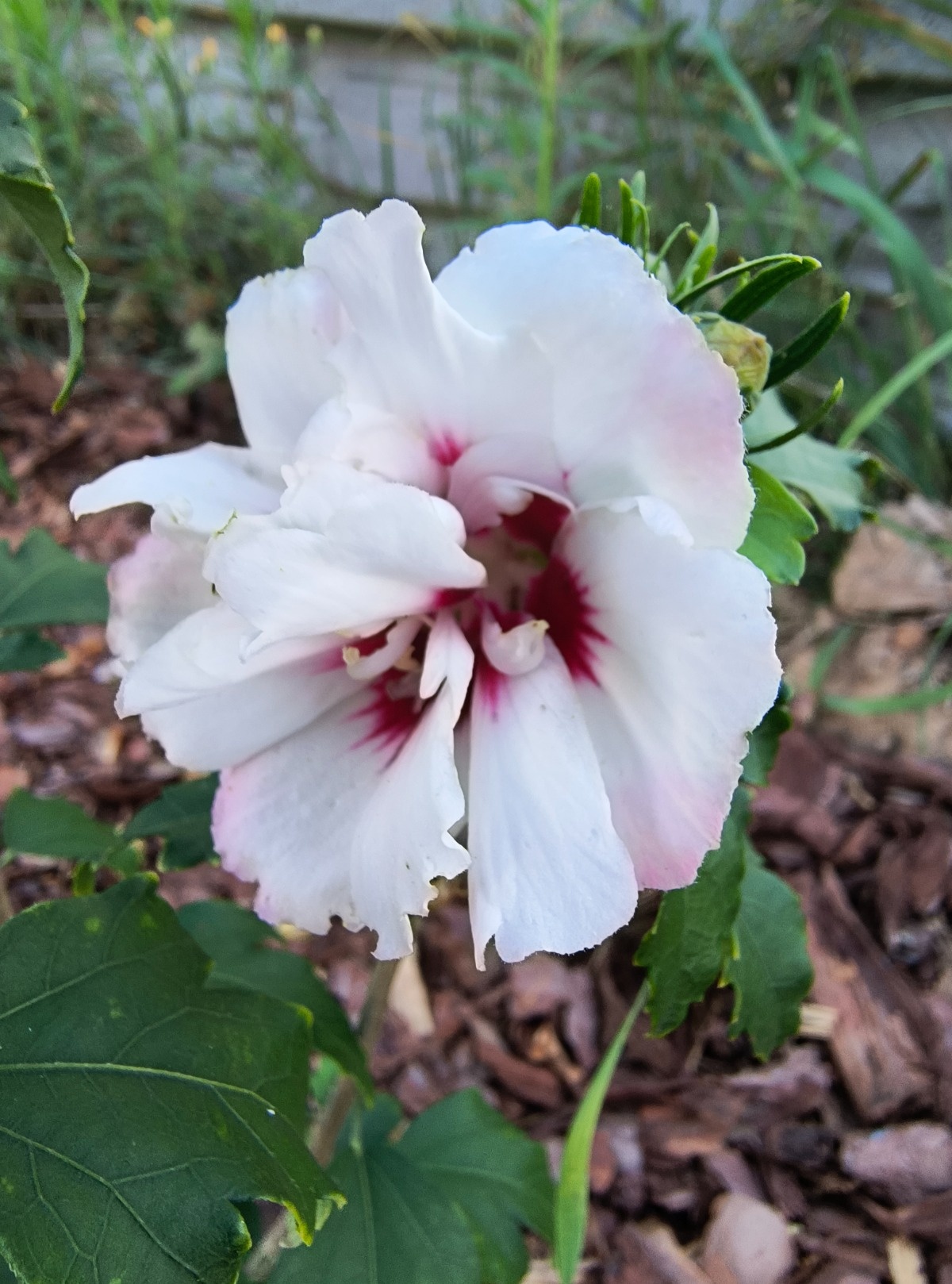 cc4aa0e6-0c4a-479e-9a7c-a60d0f1e2624