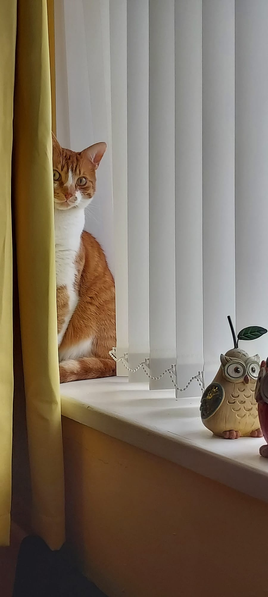 b4890156-1c6a-49b8-a92e-a04934d21189